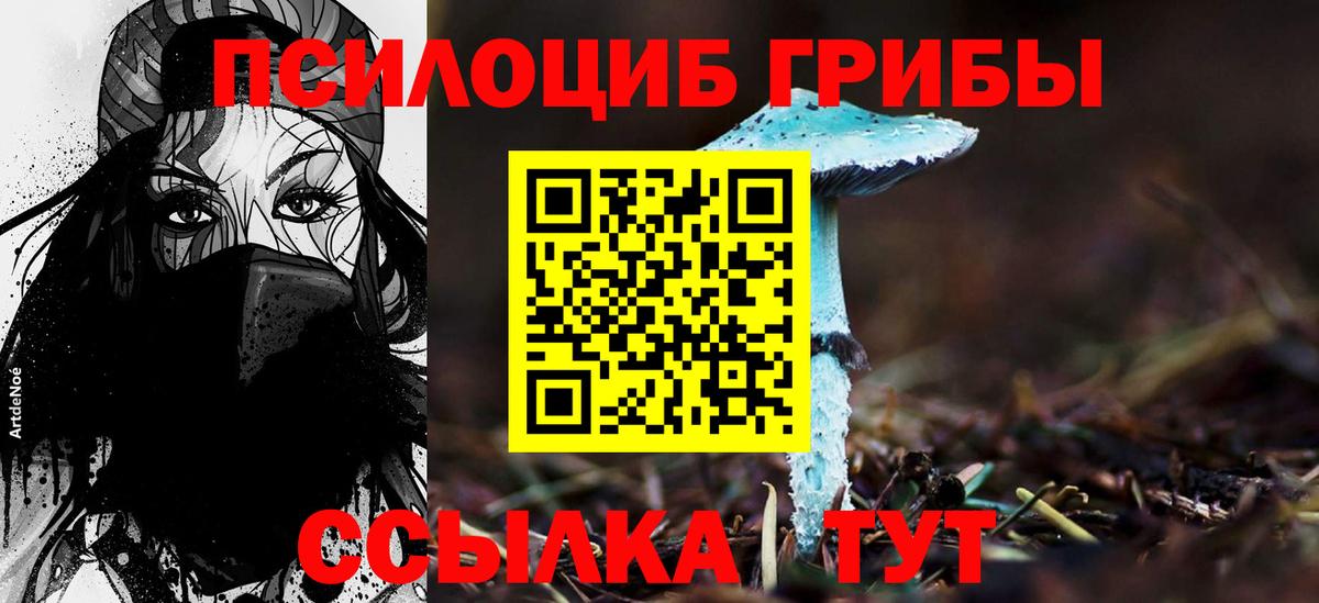 Галлюциногенные грибы GOLDEN TEACHER Лесозаводск