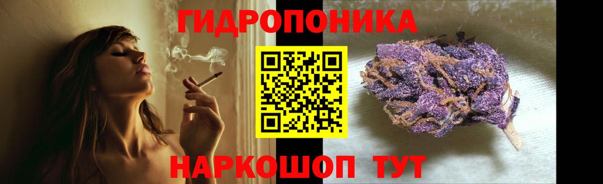 Канабис сатива Лесозаводск